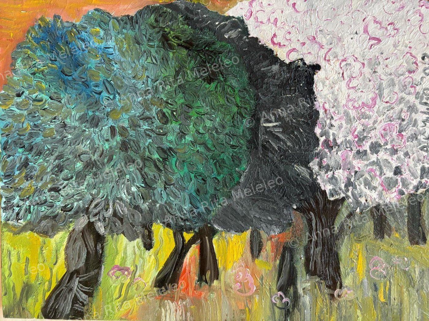 Uliveto con alberi dalle chiome scure e un albero in fiore bianco e rosa.