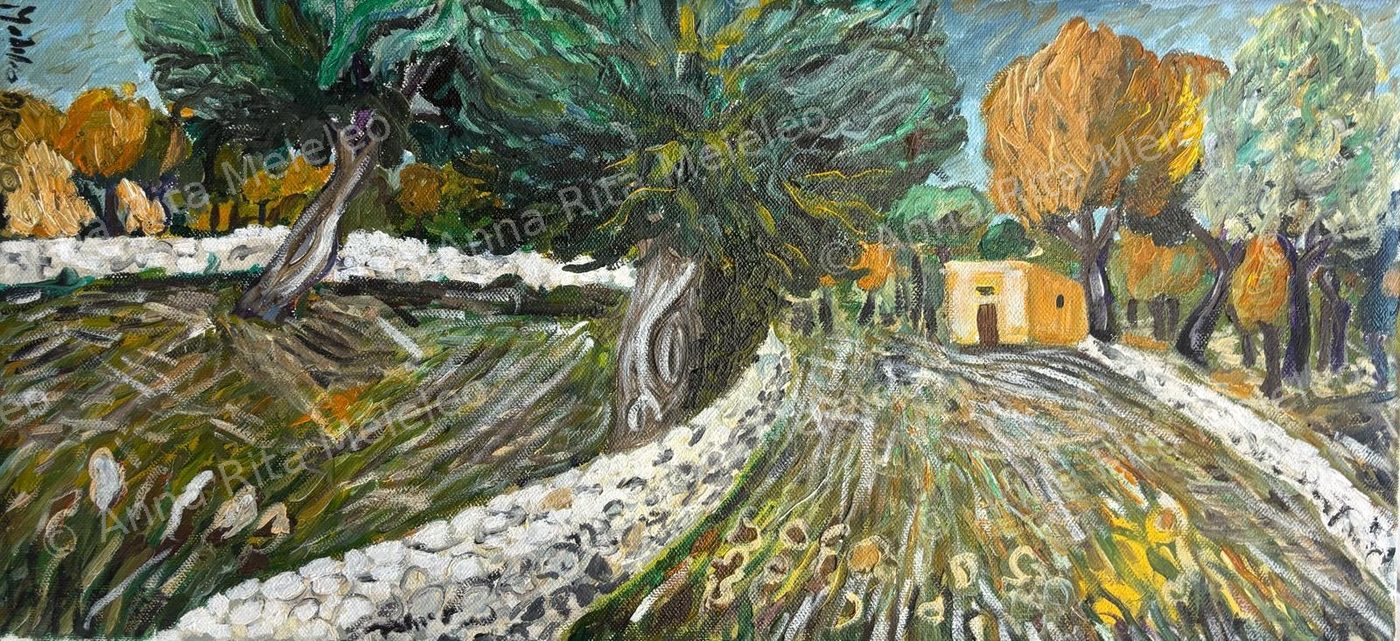 Campagna divisa da muretti a secco con un sentiero chiaro e una casa gialla in fondo.