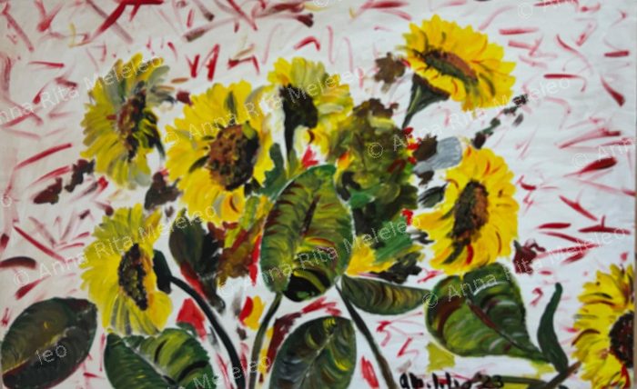 Girasoli