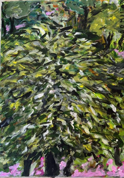 Macchia in fiore